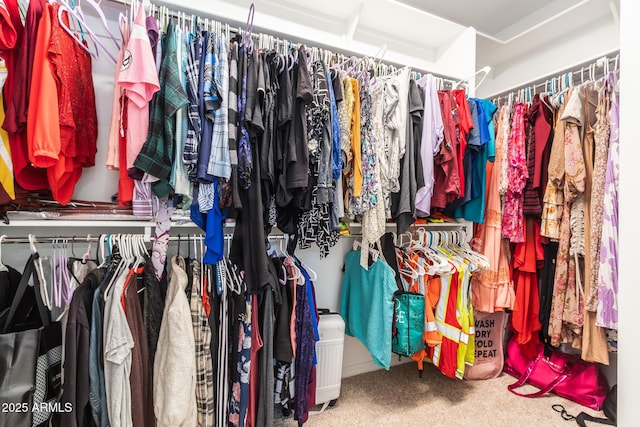 walk in closet featuring carpet flooring
