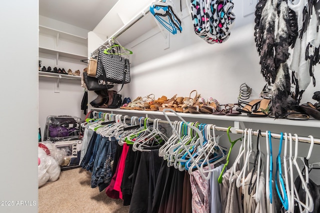 spacious closet with carpet