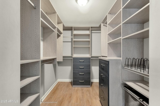 4840 E Sunnyside Dr, Scottsdale, AZ 85254 - spacious closet with light wood-style flooring