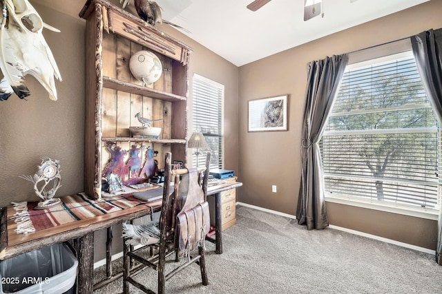 office featuring baseboards, carpet floors, a ceiling fan, and a healthy amount of sunlight