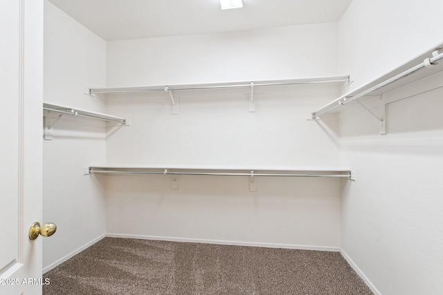 3013 W Via De Pedro Miguel, Phoenix, AZ 85086 - walk in closet featuring carpet flooring