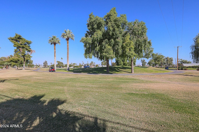 view of home's community featuring a yard