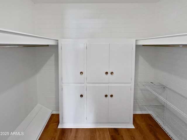 spacious closet with dark hardwood / wood-style flooring