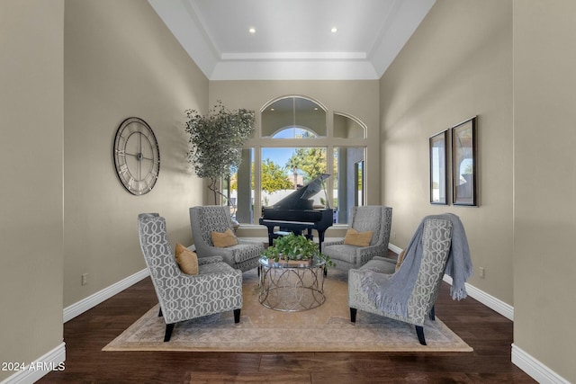 living area featuring dark hardwood / wood-style floors and a raised ceiling