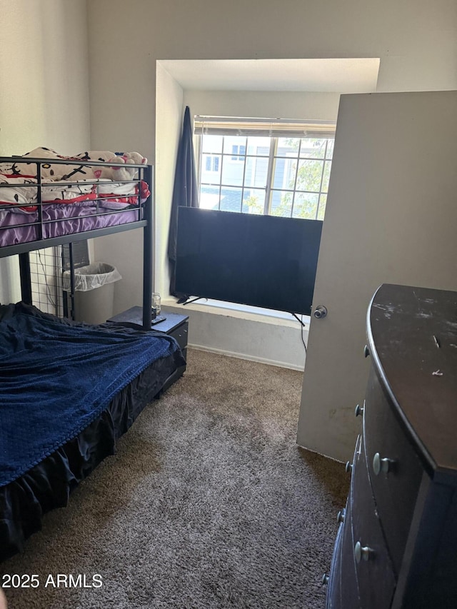2301 E University Dr Unit 111, Mesa, AZ 85213 - view of carpeted bedroom