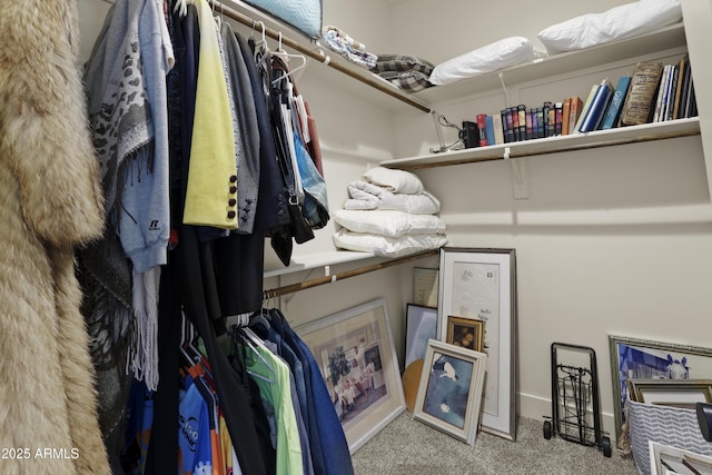 walk in closet with carpet