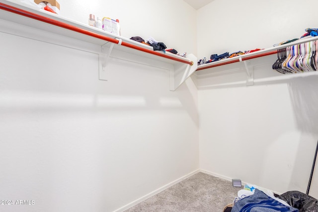 spacious closet with carpet