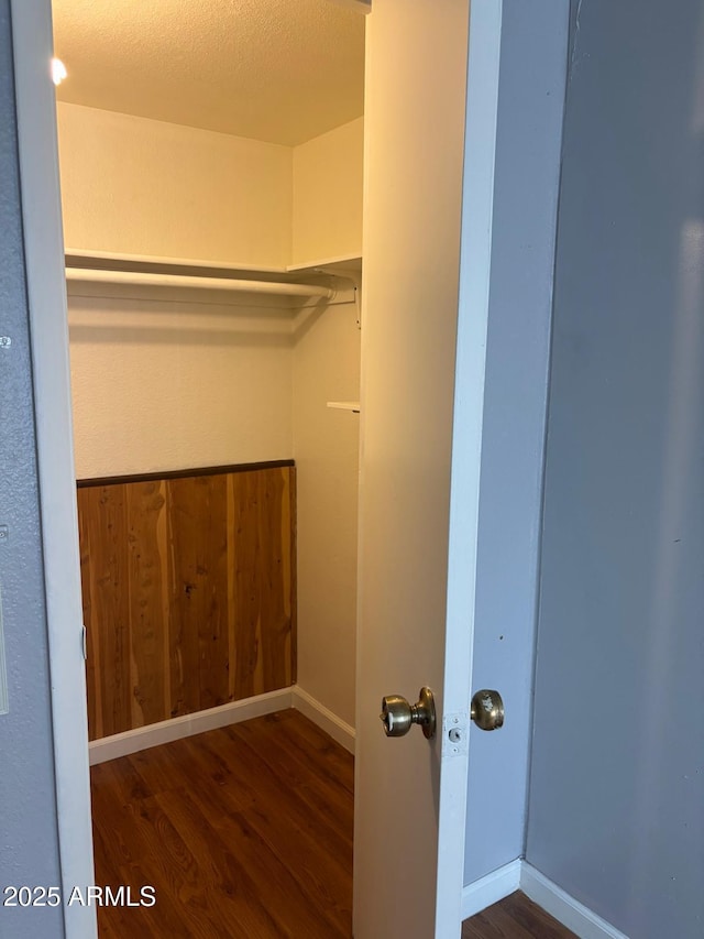 spacious closet featuring wood finished floors