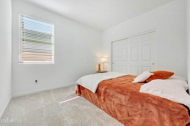 bedroom featuring carpet floors and a closet