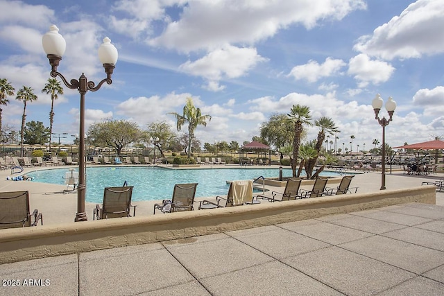 view of pool featuring a patio area