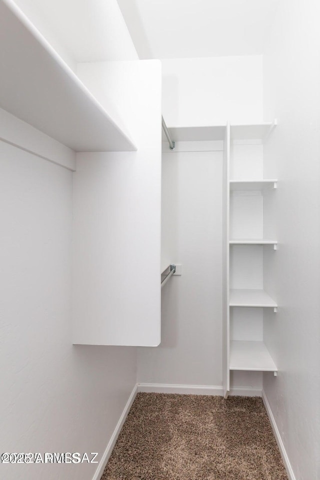 19 E Elm St, Tucson, AZ 85705 - spacious closet with carpet
