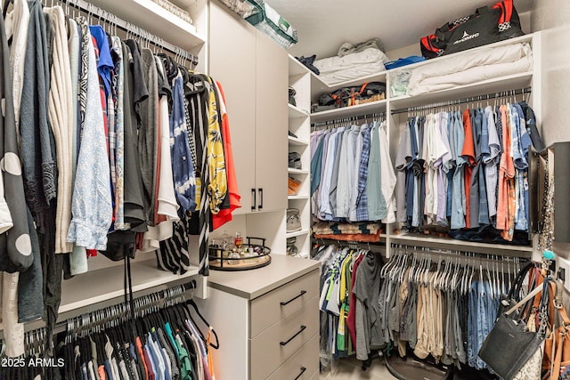 view of spacious closet