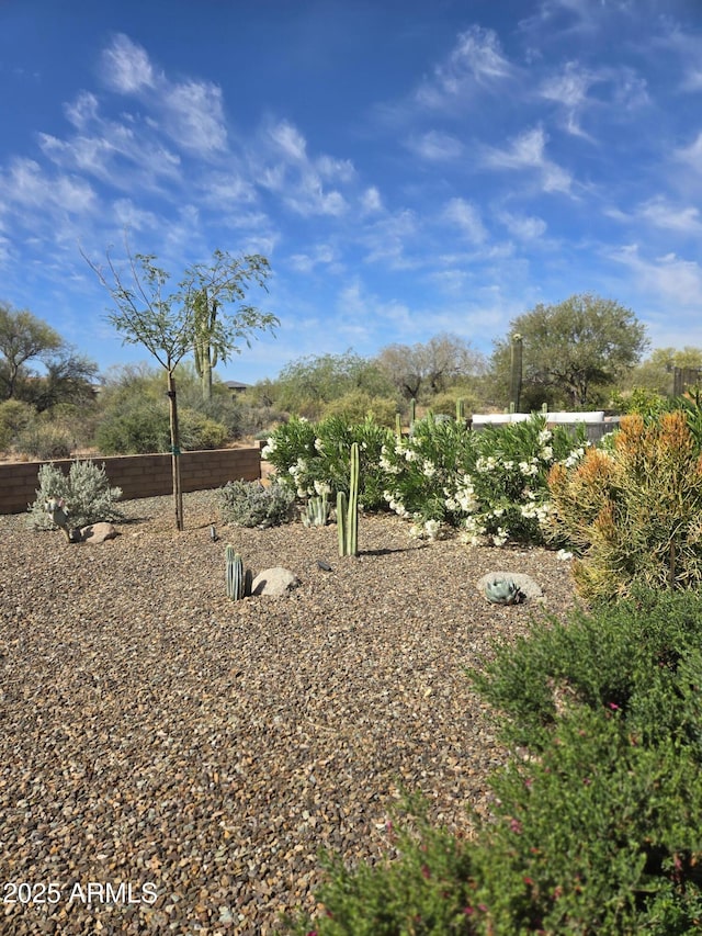 17833 E Veit Springs Dr, Rio Verde, AZ 85263 - view of yard featuring fence