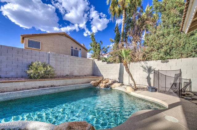 view of pool featuring a fenced in pool and a fenced backyard