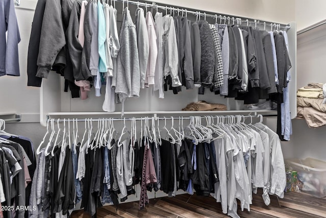 walk in closet featuring wood finished floors