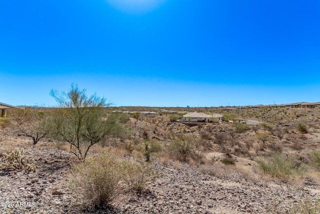 view of local wilderness