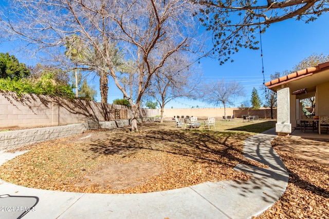 view of yard featuring a patio area