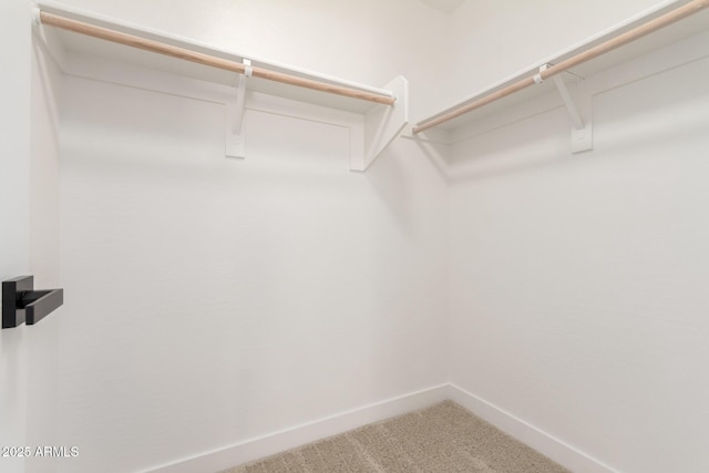 3875 E Claxton Ave, Gilbert, AZ 85297 - walk in closet with carpet floors