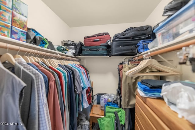 view of spacious closet