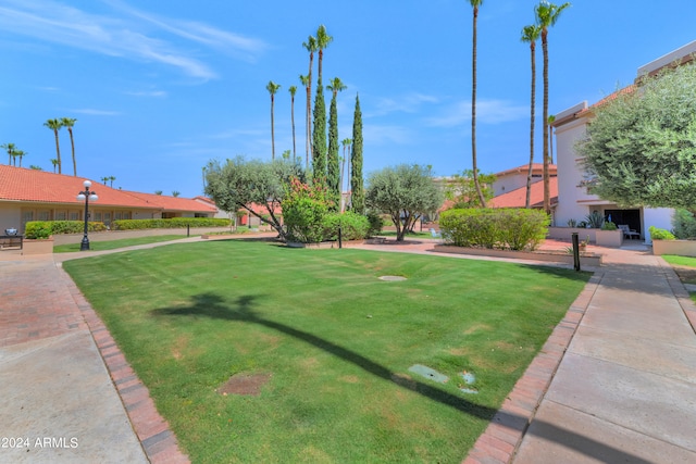 view of home's community featuring a lawn