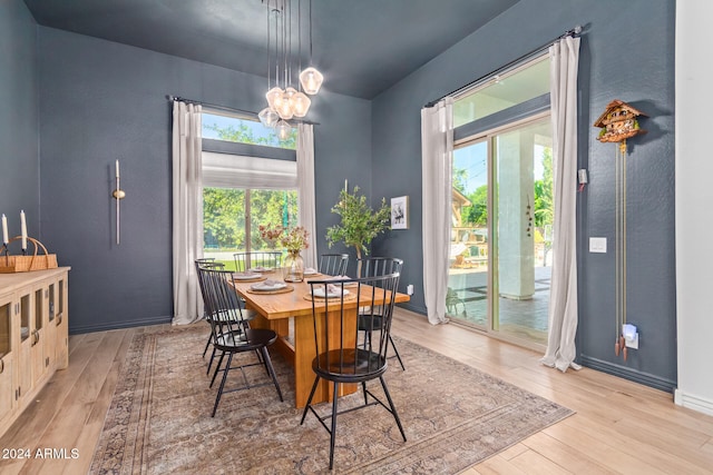 dining room featuring light wood-type flooring and a wealth of natural light