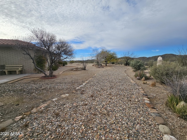 view of yard featuring a mountain view