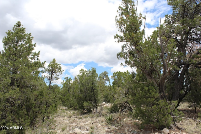 3373 Windy Ln Unit 147, Heber AZ, 85928 land for sale