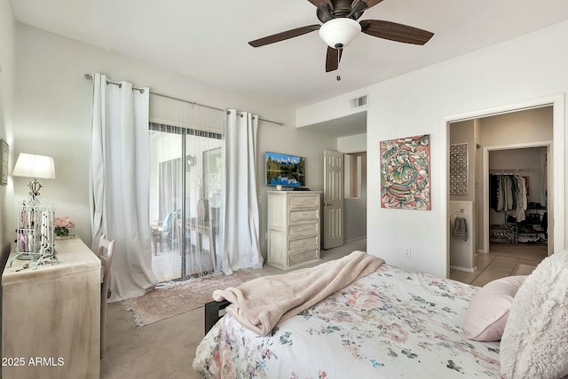 carpeted bedroom with ceiling fan, visible vents, and a walk in closet