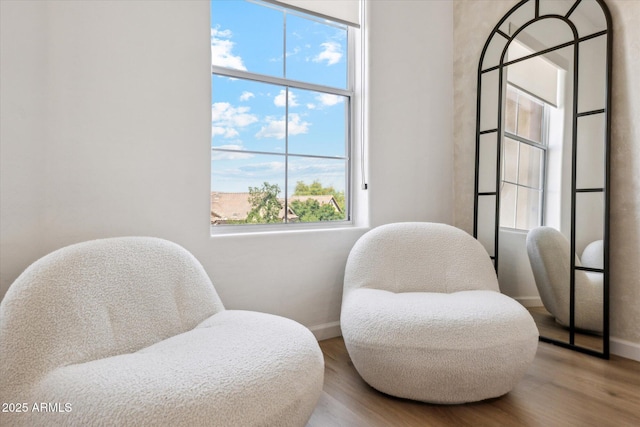 sitting room featuring baseboards, plenty of natural light, and wood finished floors