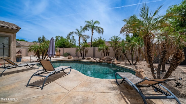 3103 S Benton, Mesa, AZ 85212 - view of pool with a patio area and a fenced backyard