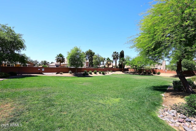 3122 E Kristal Way, Phoenix, AZ 85050 - view of yard