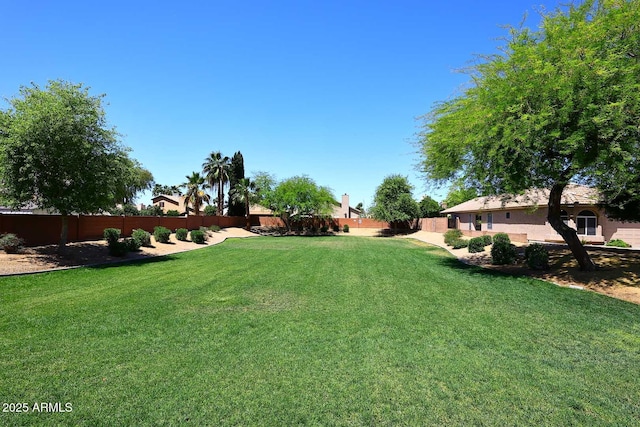 3122 E Kristal Way, Phoenix, AZ 85050 - view of yard