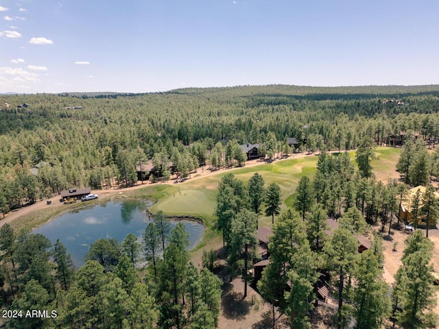 drone / aerial view of a heavily wooded area and a nearby body of water