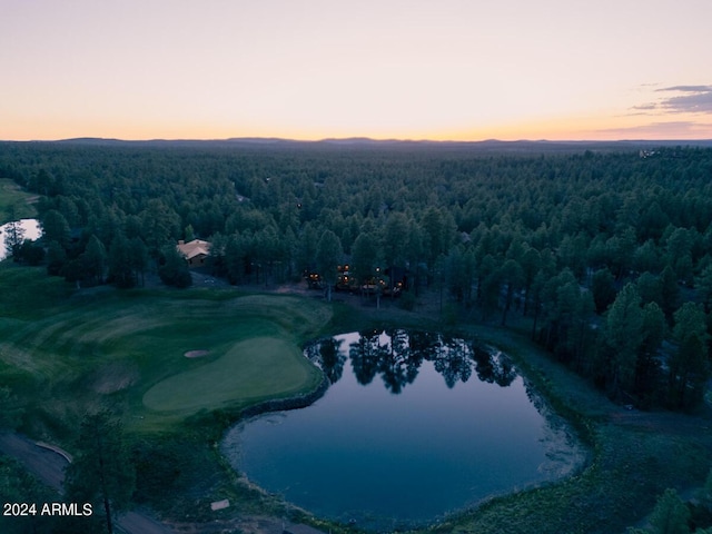 view of property location with a forest and a large body of water