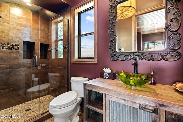 bathroom featuring toilet, a shower stall, and vanity