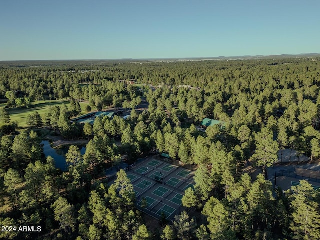 aerial view of property's location featuring a heavily wooded area