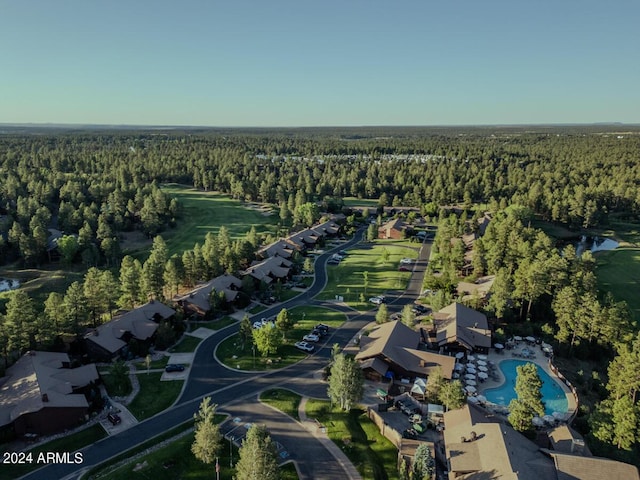 aerial overview of property's location with a forest and a nearby body of water