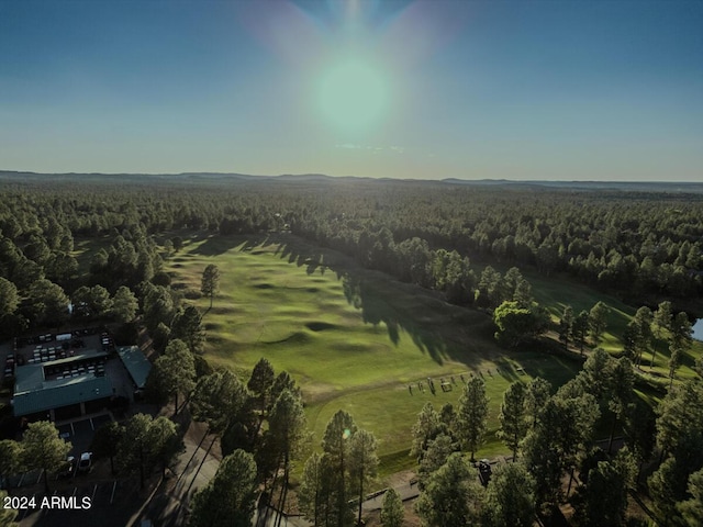 aerial overview of property's location featuring a forest