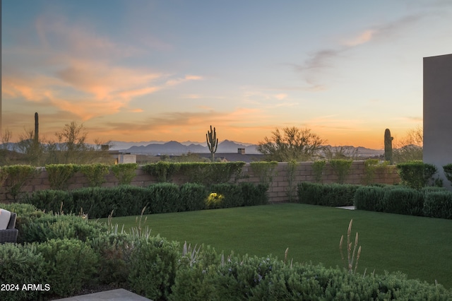 view of yard at dusk