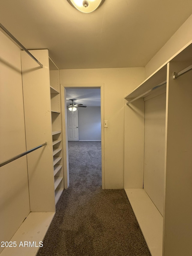 spacious closet with a ceiling fan and carpet floors