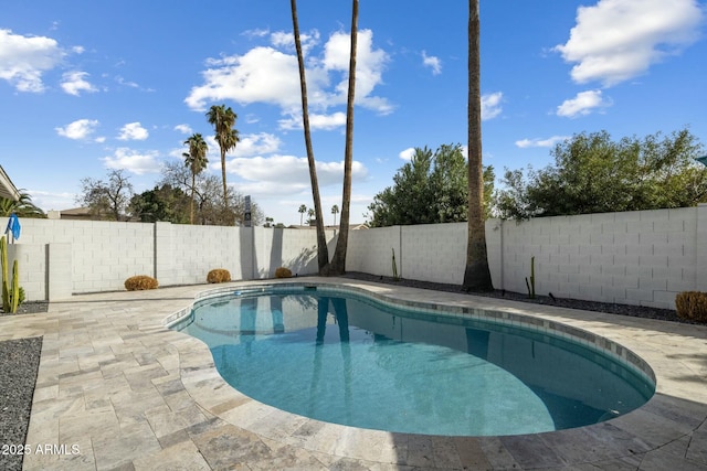 view of swimming pool with a patio area, a fenced backyard, and a fenced in pool