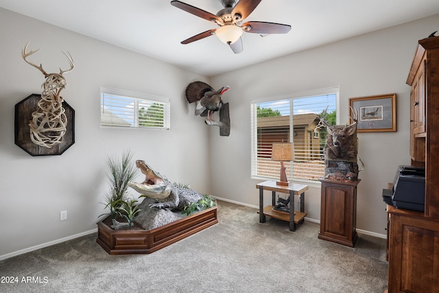 miscellaneous room with ceiling fan, a wealth of natural light, and light carpet