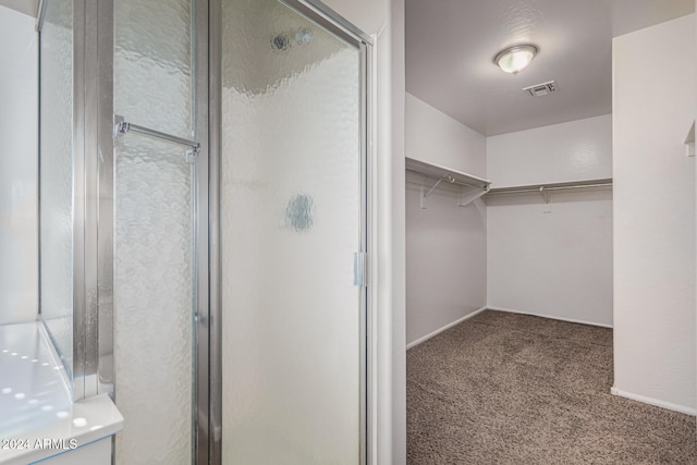 walk in closet with carpet floors