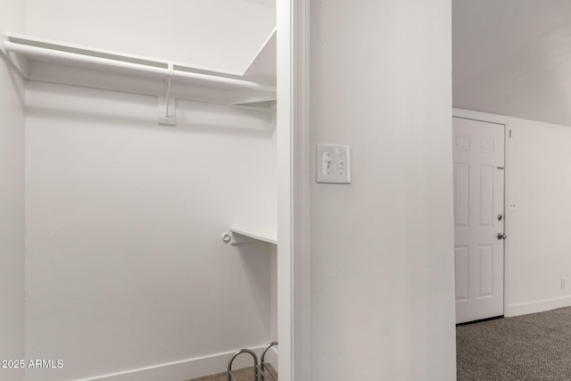 walk in closet featuring carpet floors