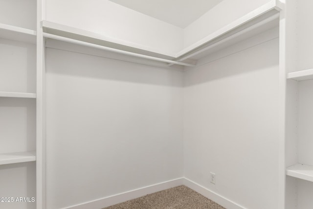 spacious closet with carpet flooring