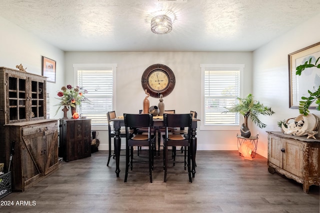 dining area with a wealth of natural light, a textured ceiling, and hardwood / wood-style flooring