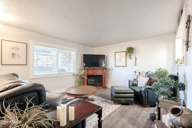 living room with hardwood / wood-style floors and a textured ceiling