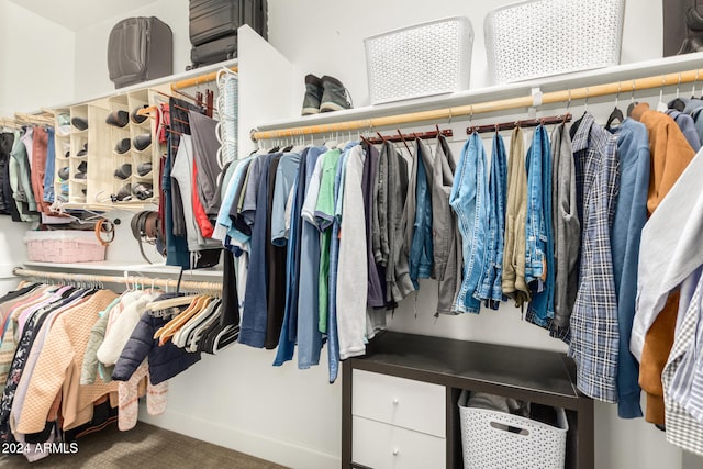 spacious closet with carpet floors