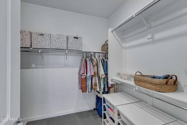 view of walk in closet