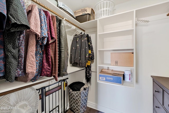 walk in closet with wood finished floors